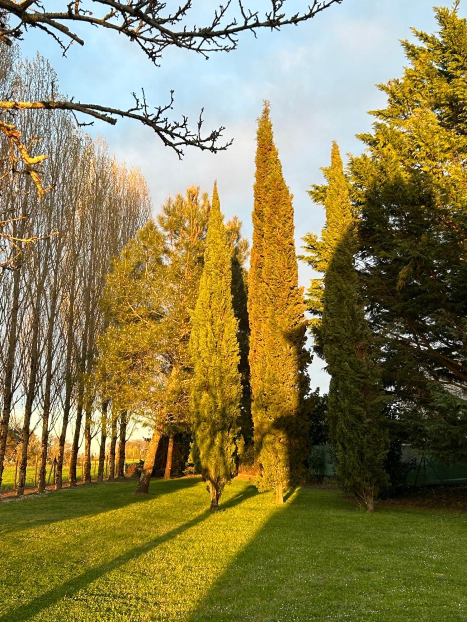 Bed and Breakfast Domaine De La Gemoliere Gémozac Exteriér fotografie